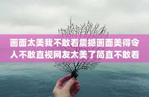 画面太美我不敢看震撼画面美得令人不敢直视网友太美了简直不敢看