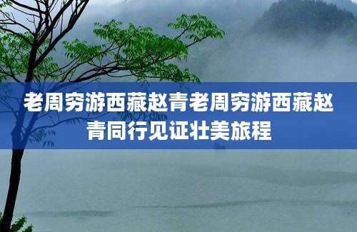 老周穷游西藏赵青老周穷游西藏赵青同行见证壮美旅程