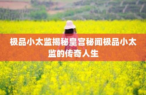 极品小太监揭秘皇宫秘闻极品小太监的传奇人生