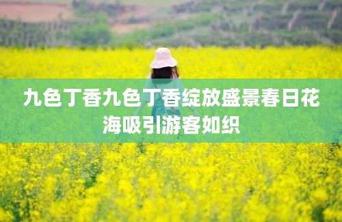 九色丁香九色丁香绽放盛景春日花海吸引游客如织