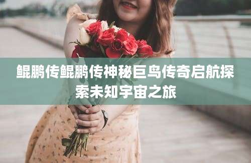 鲲鹏传鲲鹏传神秘巨鸟传奇启航探索未知宇宙之旅