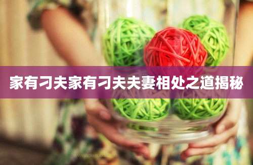 家有刁夫家有刁夫夫妻相处之道揭秘