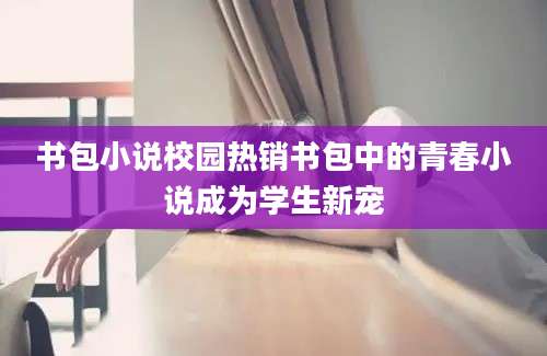 书包小说校园热销书包中的青春小说成为学生新宠