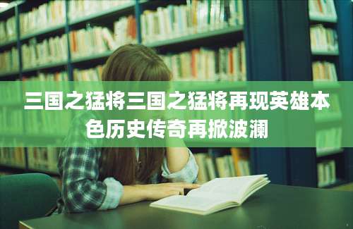 三国之猛将三国之猛将再现英雄本色历史传奇再掀波澜