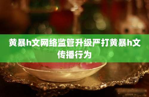 黄暴h文网络监管升级严打黄暴h文传播行为