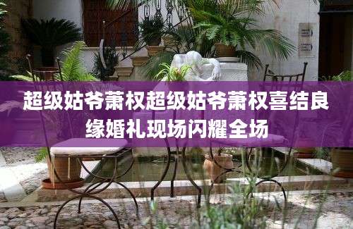 超级姑爷萧权超级姑爷萧权喜结良缘婚礼现场闪耀全场