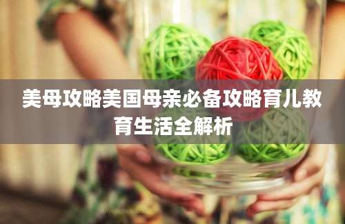 美母攻略美国母亲必备攻略育儿教育生活全解析