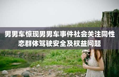 男男车惊现男男车事件社会关注同性恋群体驾驶安全及权益问题