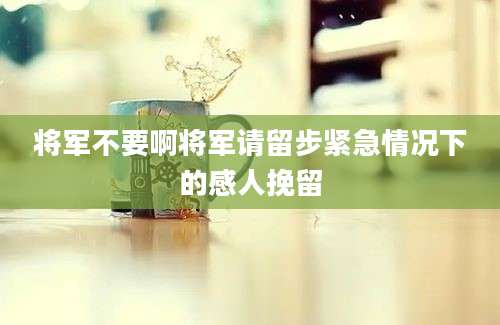 将军不要啊将军请留步紧急情况下的感人挽留
