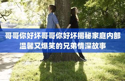 哥哥你好坏哥哥你好坏揭秘家庭内部温馨又爆笑的兄弟情深故事