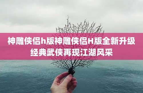 神雕侠侣h版神雕侠侣H版全新升级经典武侠再现江湖风采