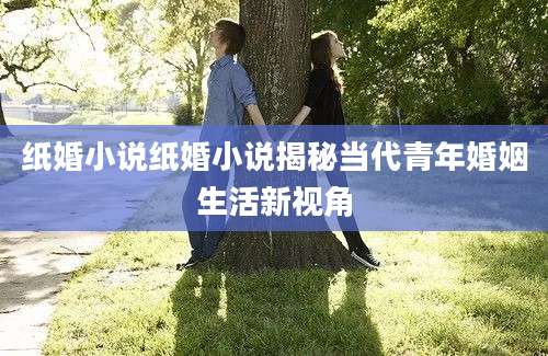 纸婚小说纸婚小说揭秘当代青年婚姻生活新视角