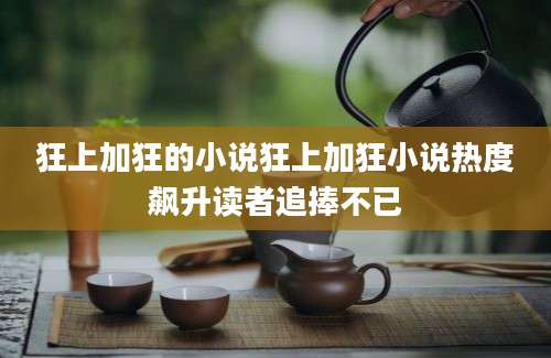 狂上加狂的小说狂上加狂小说热度飙升读者追捧不已
