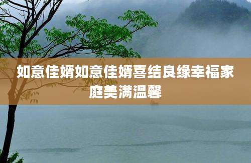 如意佳婿如意佳婿喜结良缘幸福家庭美满温馨