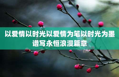 以爱情以时光以爱情为笔以时光为墨谱写永恒浪漫篇章