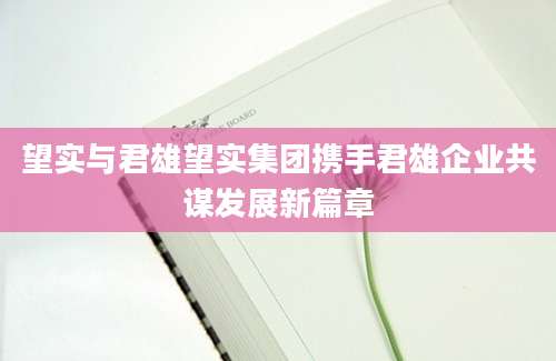 望实与君雄望实集团携手君雄企业共谋发展新篇章