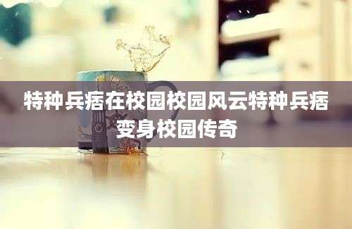 特种兵痞在校园校园风云特种兵痞变身校园传奇