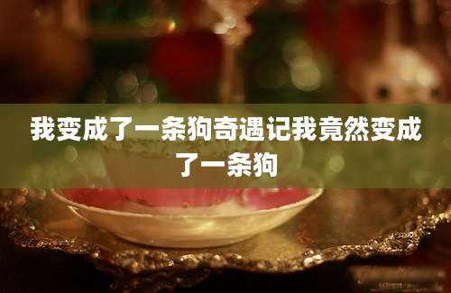 我变成了一条狗奇遇记我竟然变成了一条狗