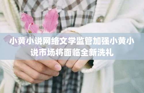 小黄小说网络文学监管加强小黄小说市场将面临全新洗礼