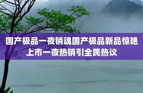国产极品一夜销魂国产极品新品惊艳上市一夜热销引全民热议