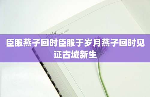 臣服燕子回时臣服于岁月燕子回时见证古城新生