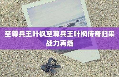 至尊兵王叶枫至尊兵王叶枫传奇归来战力再燃