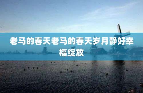 老马的春天老马的春天岁月静好幸福绽放