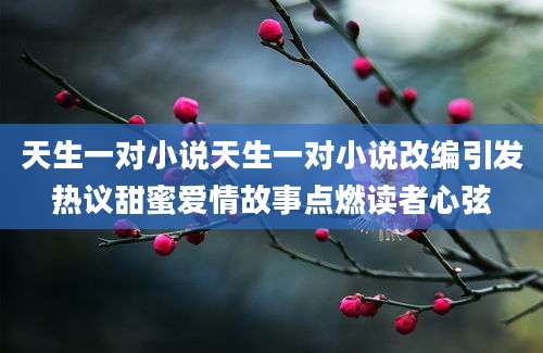 天生一对小说天生一对小说改编引发热议甜蜜爱情故事点燃读者心弦