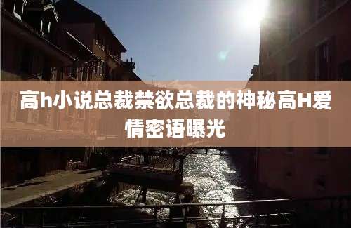 高h小说总裁禁欲总裁的神秘高H爱情密语曝光
