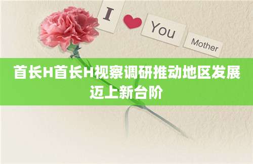 首长H首长H视察调研推动地区发展迈上新台阶