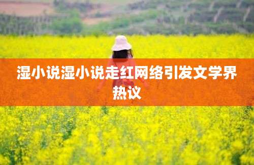 湿小说湿小说走红网络引发文学界热议