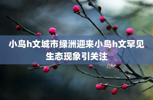 小鸟h文城市绿洲迎来小鸟h文罕见生态现象引关注