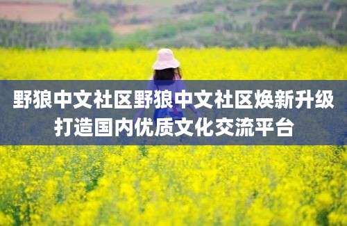 野狼中文社区野狼中文社区焕新升级打造国内优质文化交流平台