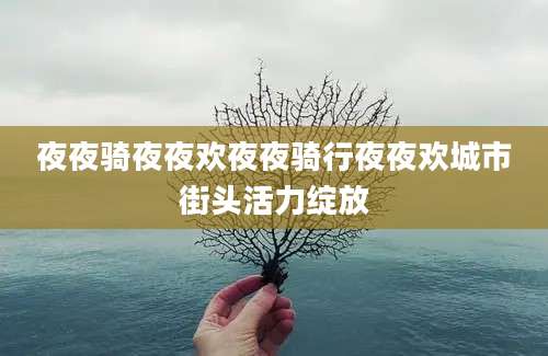 夜夜骑夜夜欢夜夜骑行夜夜欢城市街头活力绽放