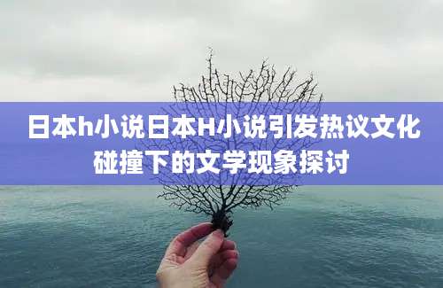 日本h小说日本H小说引发热议文化碰撞下的文学现象探讨