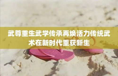 武尊重生武学传承再焕活力传统武术在新时代重获新生