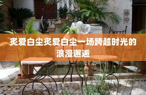 炙爱白尘炙爱白尘一场跨越时光的浪漫邂逅