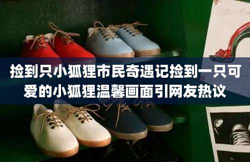 捡到只小狐狸市民奇遇记捡到一只可爱的小狐狸温馨画面引网友热议