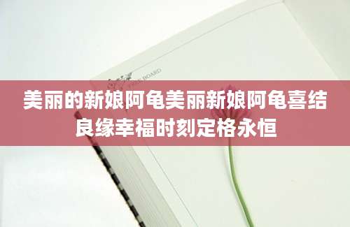 美丽的新娘阿龟美丽新娘阿龟喜结良缘幸福时刻定格永恒