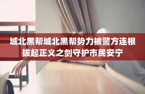 城北黑帮城北黑帮势力被警方连根拔起正义之剑守护市民安宁