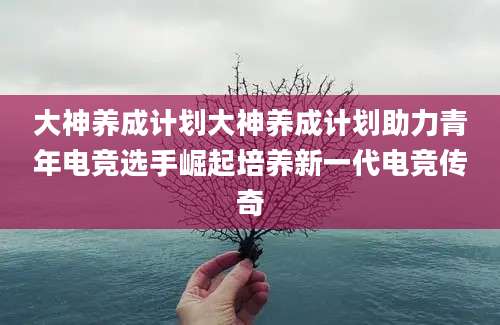 大神养成计划大神养成计划助力青年电竞选手崛起培养新一代电竞传奇