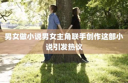 男女做小说男女主角联手创作这部小说引发热议