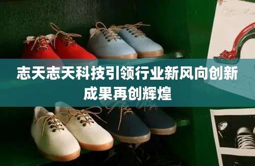 志天志天科技引领行业新风向创新成果再创辉煌