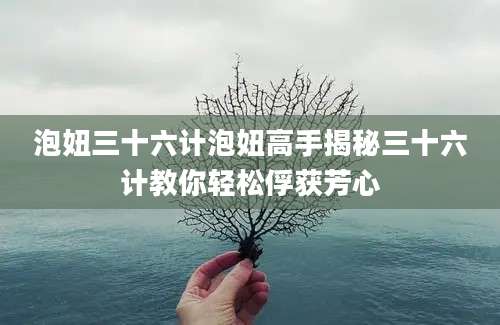 泡妞三十六计泡妞高手揭秘三十六计教你轻松俘获芳心