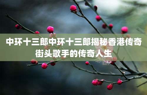 中环十三郎中环十三郎揭秘香港传奇街头歌手的传奇人生