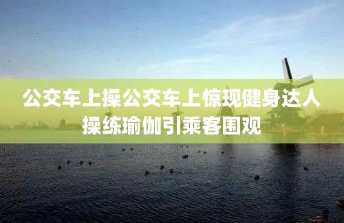 公交车上操公交车上惊现健身达人操练瑜伽引乘客围观