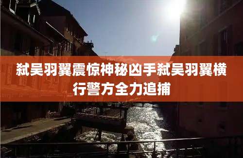 弑吴羽翼震惊神秘凶手弑吴羽翼横行警方全力追捕