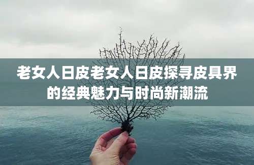 老女人日皮老女人日皮探寻皮具界的经典魅力与时尚新潮流
