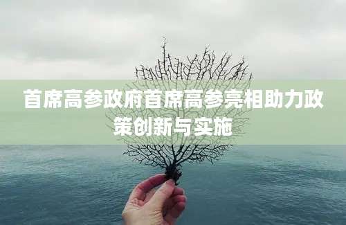 首席高参政府首席高参亮相助力政策创新与实施