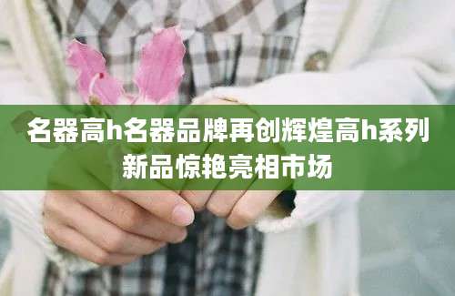 名器高h名器品牌再创辉煌高h系列新品惊艳亮相市场